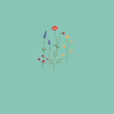 Dillo con un fiore