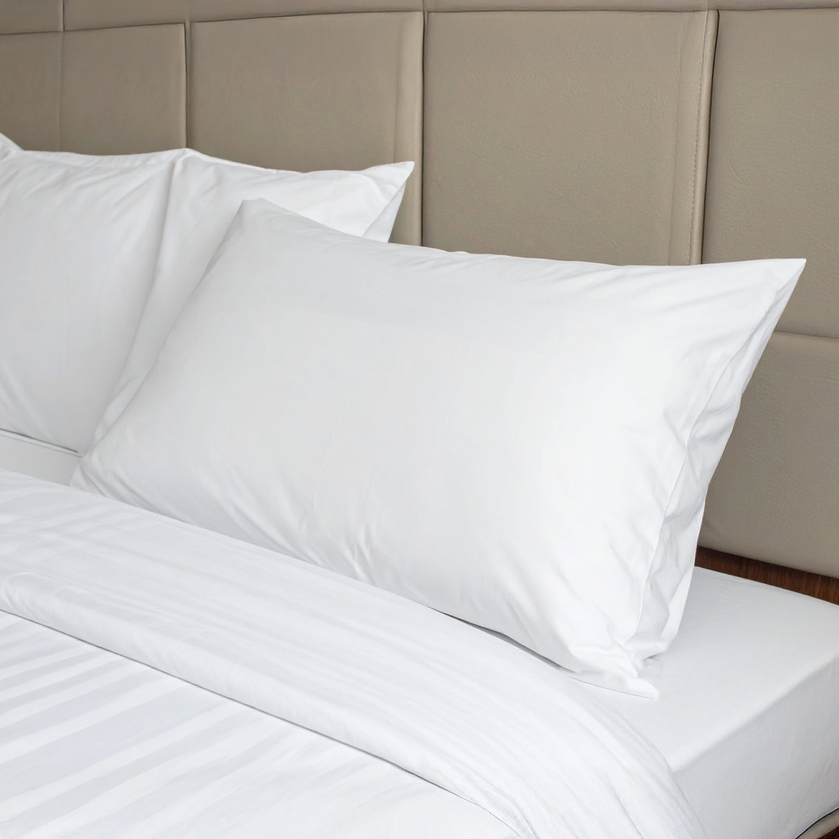 Guanciale in Fibra ADVAterra Biodegradabile - Biodream