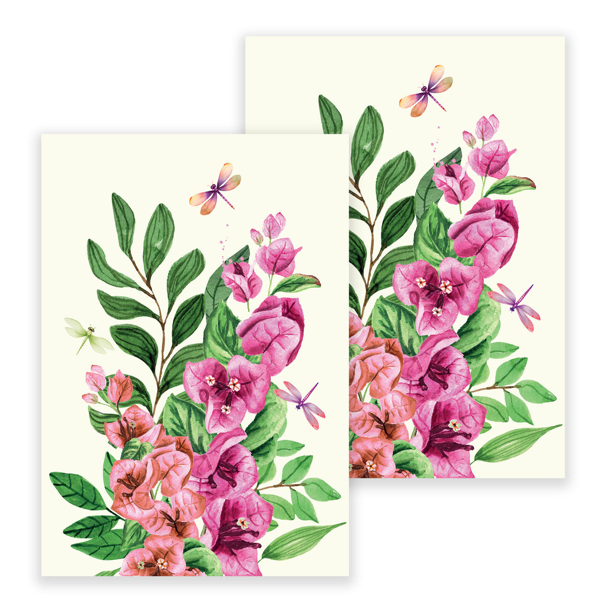 Set 2 Canovacci in Puro Cotone - Bougainvillae