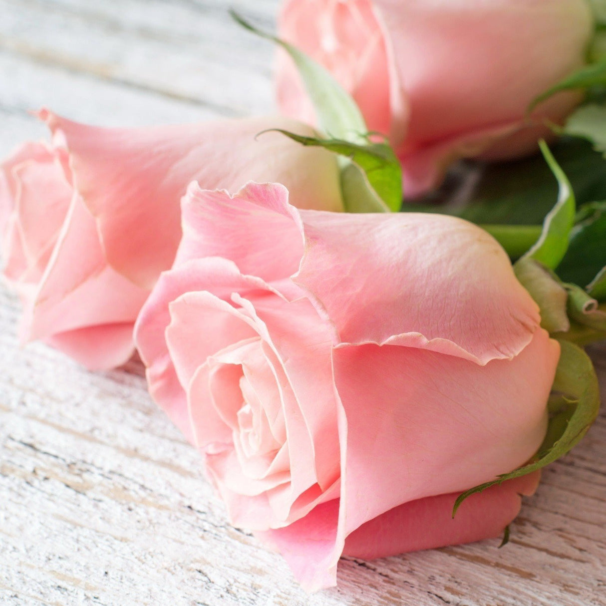 Sapone Liquido d'Aleppo ai Fiori di Rosa - Tadé