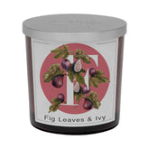 Candela Profumata Fragranza Foglie Di Fico e Edera - Fig Leaves &amp; Ivy 