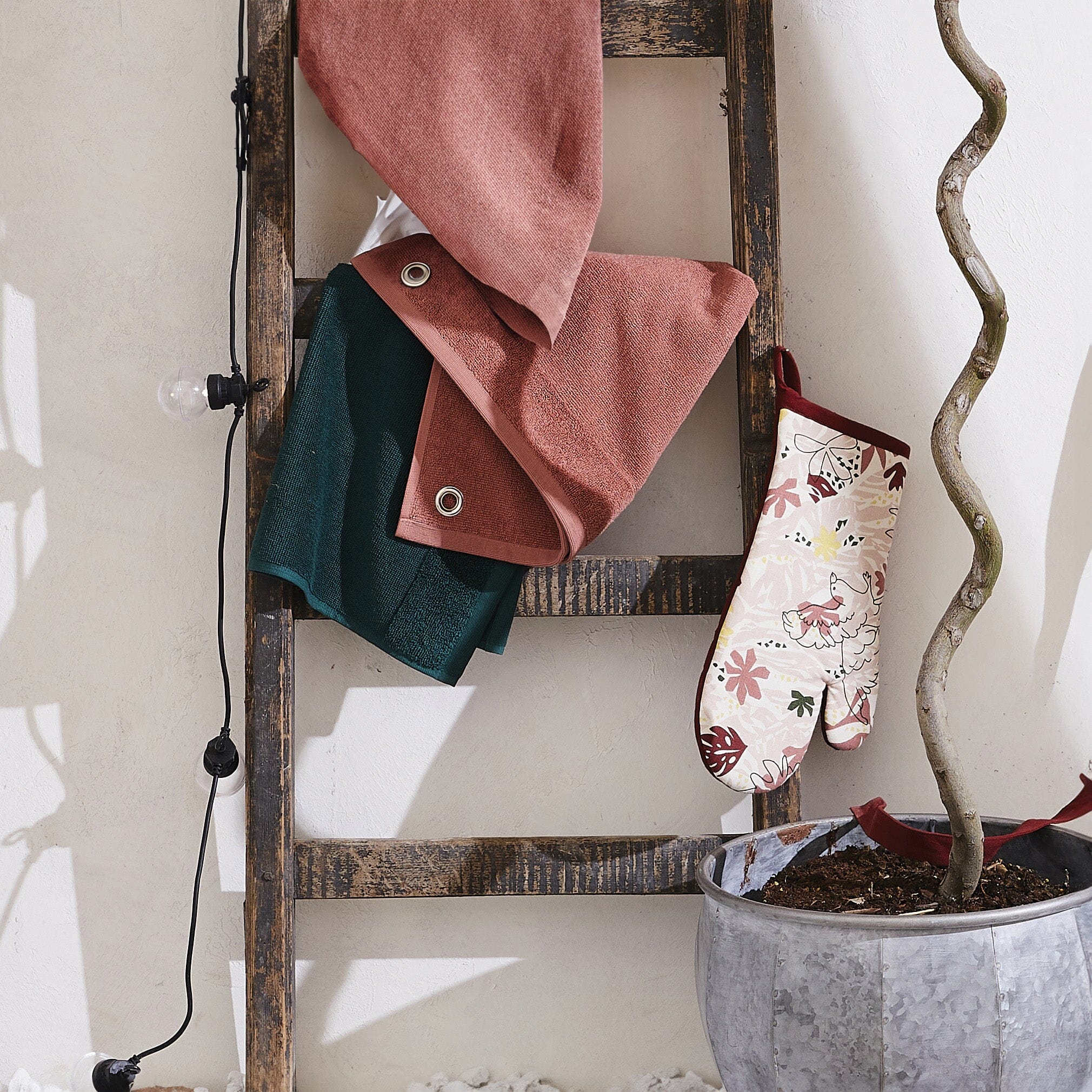 Canovaccio in Spugna Tinta Unita - Oeillet Curl Canovaccio Winkler