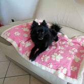 Coperta per Cani in Lana Cotta - Zampettando Coperta Cani i nastri di Mirta