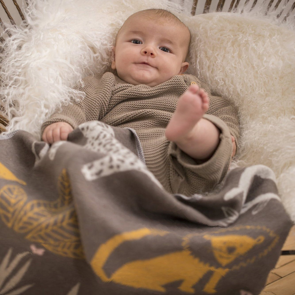 Copertina in Cotone Fantasia Giungla - Juwel Coperta David Fussenegger