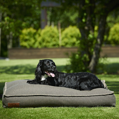 Cuccia per cani in fibre di Olefina - Cobana Cuscino SACKit