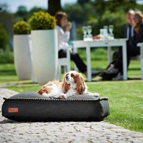 Cuccia per cani in fibre di Olefina - Cobana Cuscino SACKit