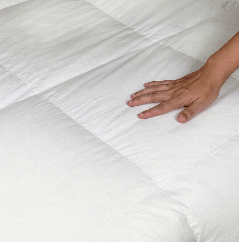 Daunex Courmayeur Piumino Siberiano Medium Piumino d'oca Daunex