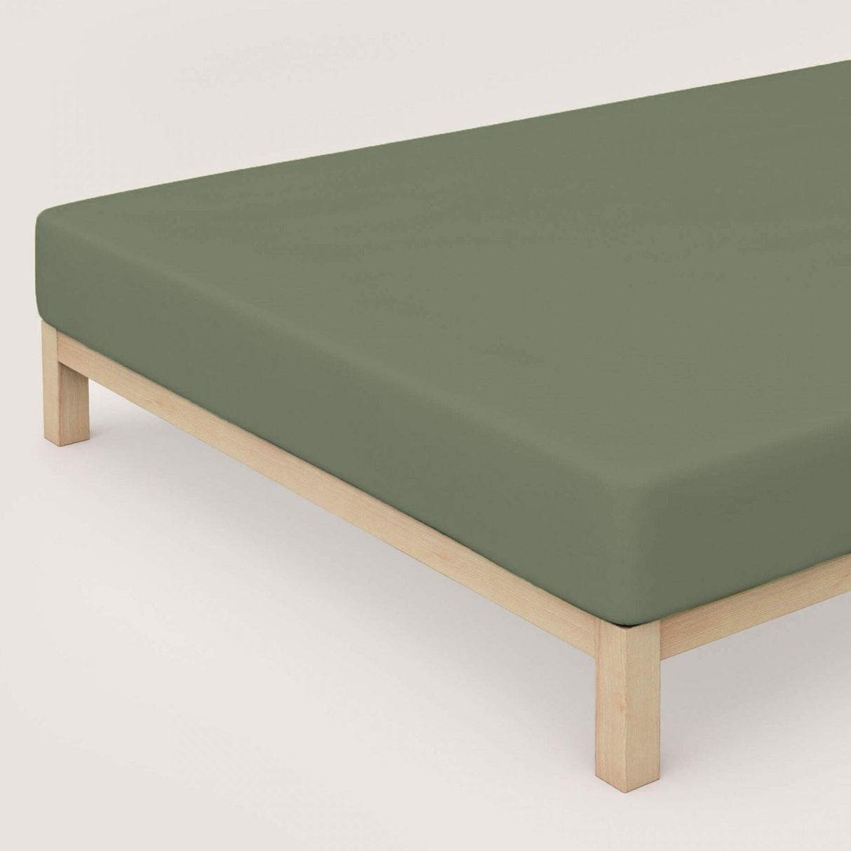 Lenzuolo da Sotto con angoli in Makò Jersey no stiro - Makò Lenzuolo Sotto Daunex Singolo Avocado