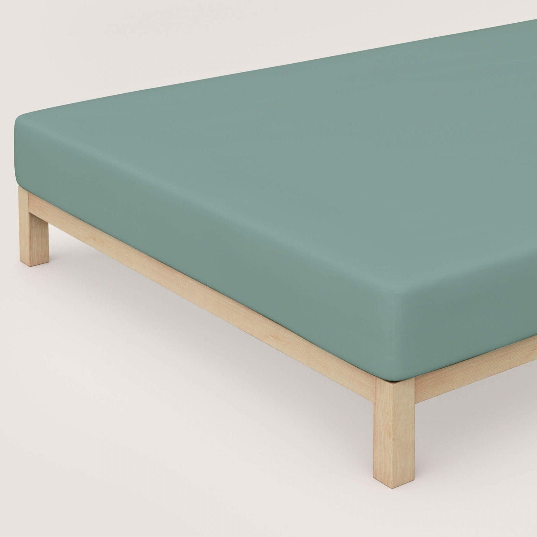 Lenzuolo da Sotto con angoli in Makò Jersey no stiro - Makò Lenzuolo Sotto Daunex Singolo Salvia