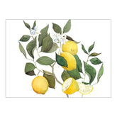 Set Americani in Puro Lino Fantasia Agrumi - Amalfi Americano Napking