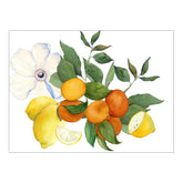Set Americani in Puro Lino Fantasia Agrumi - Amalfi Americano Napking