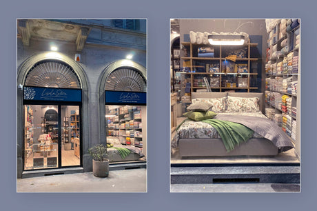 lisolastore negozio viale piave 37
