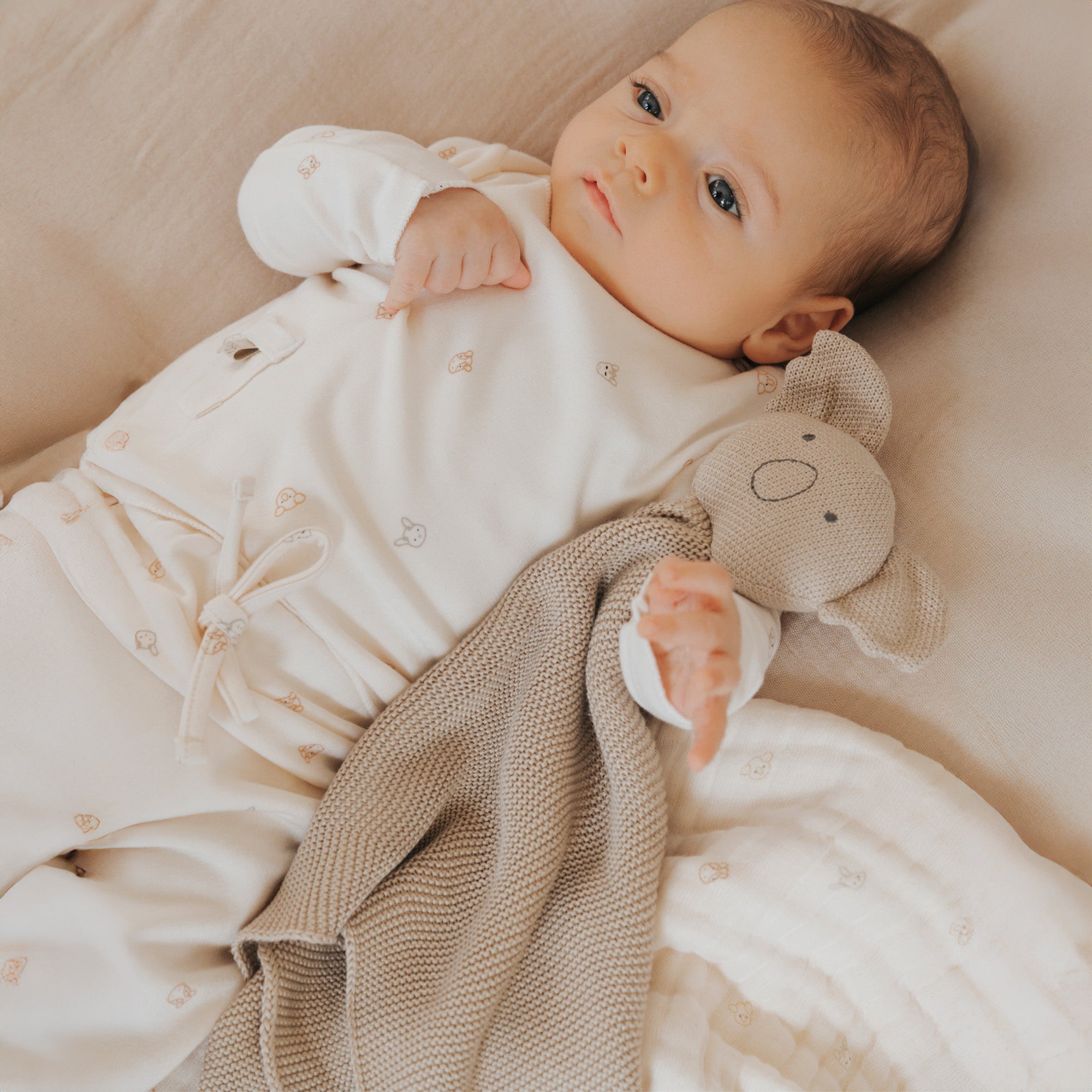 Doudou in Bambù Organico - Koala