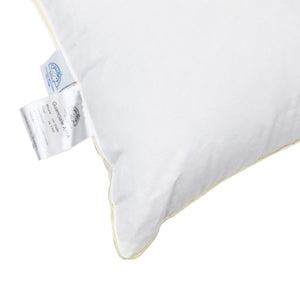 Guanciale in Piumino d'oca - Aria