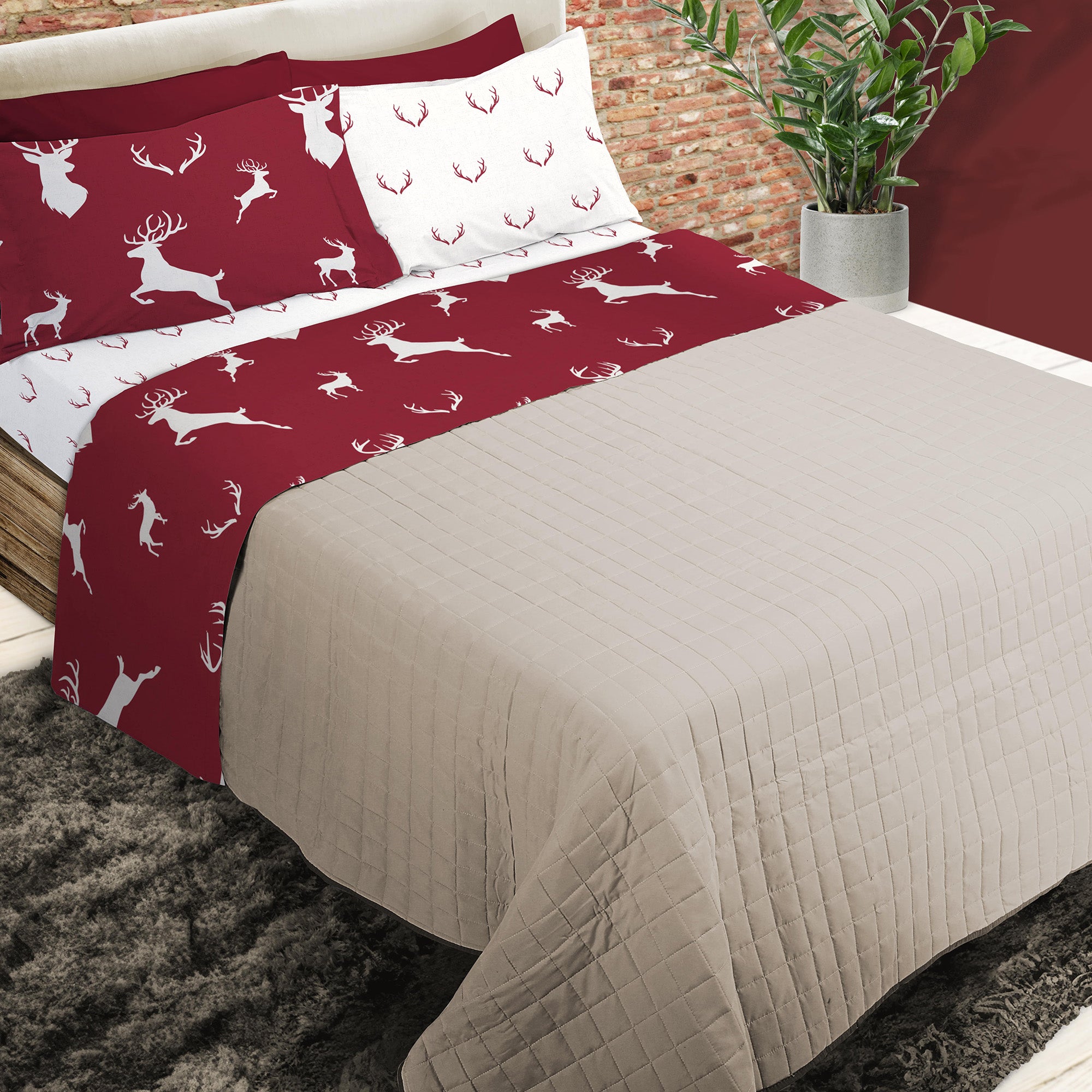 Completo Lenzuola in Puro Cotone - John