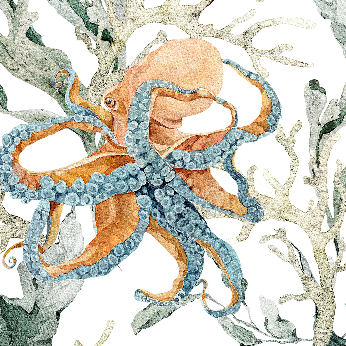 Completo Lenzuola Copriletto in Percalle di Cotone con Stampa Marina - Nautilus