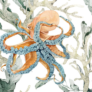 Completo Lenzuola Copriletto in Percalle di Cotone con Stampa Marina - Nautilus