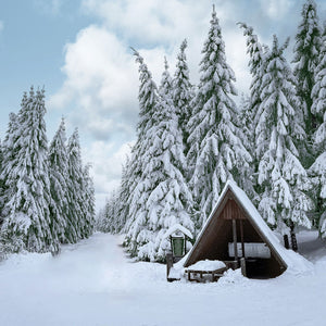 Parure Copripiumino in Percalle di Cotone con Stampa Invernale - Alpine Lodge
