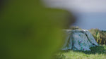 Copriletto in Piquet di Cotone Fantasia Floreale - Summer