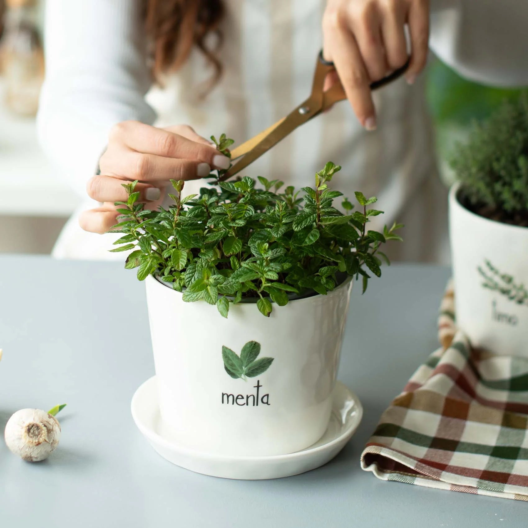 Vaso Portafiori in Grès Serigrafato - Menta