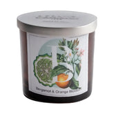 Candela Profumata Fragranza Bergamotto e Fiori d&#39;Arancio - Bergamot &amp; Orange Blossom 