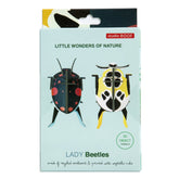 Mini Coleotteri Decorativi - Lady Beetles Coleottero Decorativo studio ROOF 