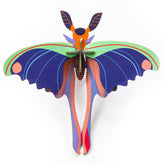 Mini Insetto Decorativo - Blue Comet Butterfly Insetto Decorativo studio ROOF 