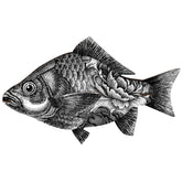 Pesce Decorazione di Carta - Carpe diem Pesce Decorativo Miho Bianco/Nero 