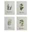 Set 4 Canovacci in Lino Stonewashed - Spezie Canovaccio Simple Day Bianco 