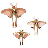 Set da 3 Mini Insetti Decorativi - Comet Butterflies Insetto Decorativo studio ROOF 